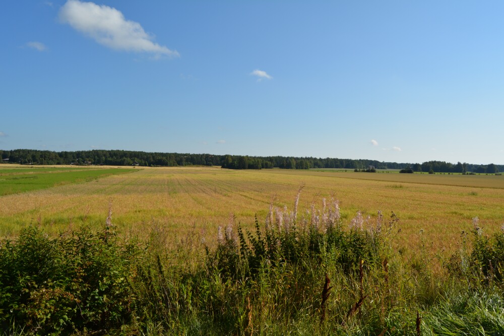 gallery-img