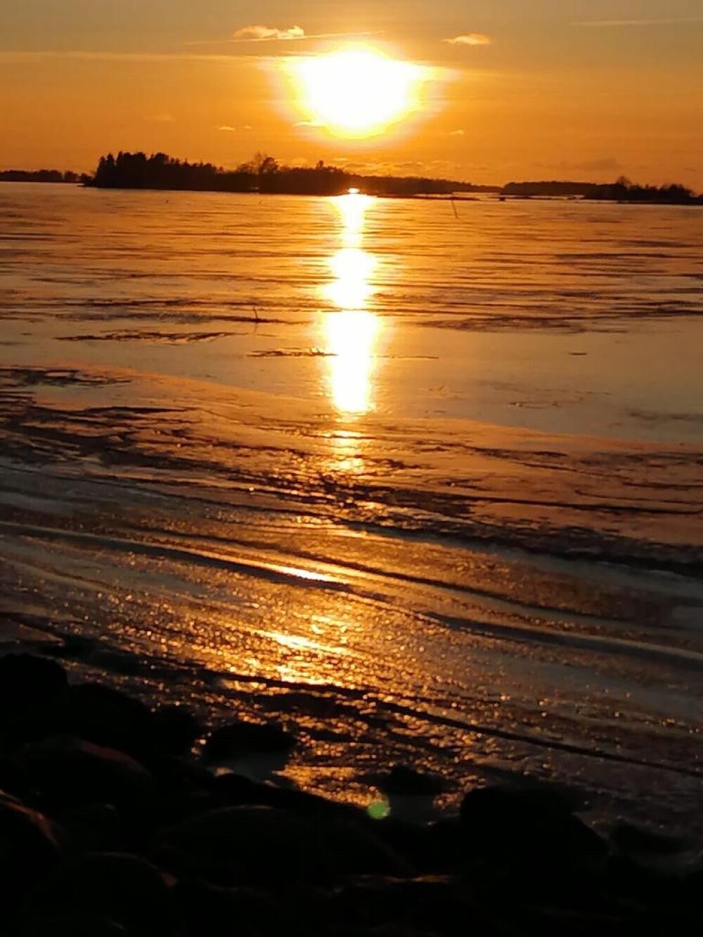 gallery-img