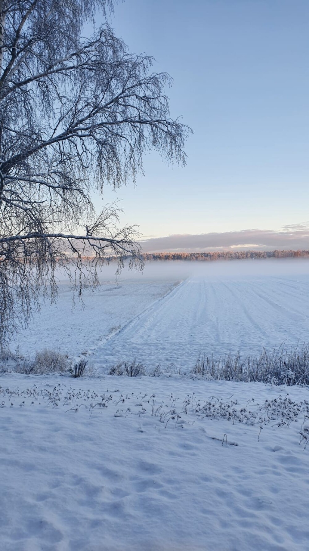 gallery-img